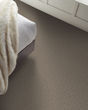 Artistic Fusion II Pet Friendly Carpet