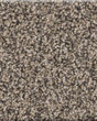 Artistic Fusion II Pet Friendly Carpet