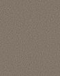Artistic Fusion II Pet Friendly Carpet