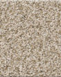 Tweed Comfort Blue 51oz Textured Carpet