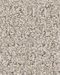 Peaceful Journey Beige Mist 48oz Pet Friendly Patterned Carpet