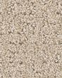 Peaceful Journey Cafe Latte 48oz Pet Friendly Patterned Carpet