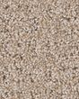 Peaceful Journey Baja 48oz Pet Friendly Patterned Carpet