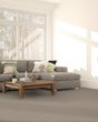 Pawsitive T Chic Taupe Pet Friendly Textured 40oz Carpet