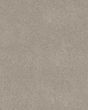 Pawsitive T Marble Pet Friendly Textured 40oz Carpet