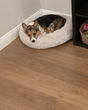 CALI Barrel Cava Cove 7.5" White Oak Hardwood