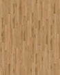 Cali Longboards Dana Landing Vinyl Plank