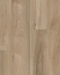 Cali Laguna Artisan Shoal Vinyl Plank