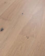 Confection Meringue 7.5" White Oak Hardwood