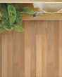 Brasilia Barrel 7.5" Brazilian Oak Hardwood