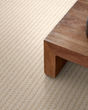 Abbeys Road Pattern Pet Friendly Carpet