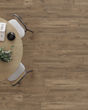 Adura Rigid Plank Coventry Forest Luxury Vinyl