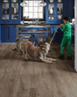 Adura Flex Plank Aspen Lodge Luxury Vinyl
