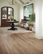 Adura Flex Plank Preservation Artifact Luxury Vinyl
