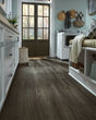 Adura Flex Plank Sausalito Bridgeway Luxury Vinyl