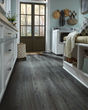Adura Flex Plank Sausalito Waterfront Luxury Vinyl