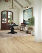 Adura Rigid Plank Preservation Fossil Luxury Vinyl