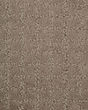 Ageless Look Pebblestone Carpet