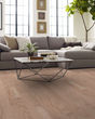 Albright Red Oak 3.25" Biscuit Lg Hardwood