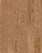 Albright Red Oak 3.25" Caramel Hardwood