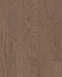 Albright Red Oak 3.25" Flax Seed Lg Hardwood