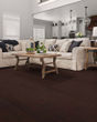 Albright Red Oak 5" Coffee Bean Hardwood