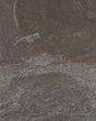 Alps Charcoal Slate Matte Porcelain Tile