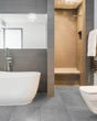 Alps Silver Slate Matte Porcelain Tile