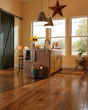 American Scrape Hickory 5" Cajun Spice Hardwood