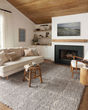 Amira AMI-04 Silver/Ivory Area Rug