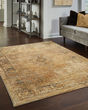 Andorra 6845d Gold/Brown Area Rug