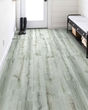 Anvil Plus Beach Oak Luxury Vinyl