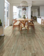 Anvil Plus 20 Mil Chatter Oak Luxury Vinyl