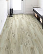 Anvil Plus Mineral Maple Luxury Vinyl