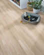 Arbor Terrace SolidTech Essentials Avery Luxury Vinyl