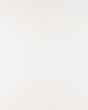 Arctic White Quartz Countertop