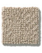 Ario Nylon Patterned 36oz Carpet