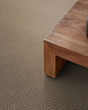 Artifact Nylon Patterned 45oz Carpet