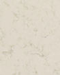 Aspen Quartz Countertop