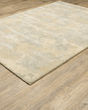 Astor 2268j Beige/Grey Area Rug
