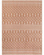 Astra Machine Washable ASW10 Copper Area Rug