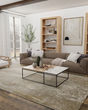 Aura 3739F Ivory/Gray/Gold Area Rug