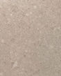 Avila Quartz Countertop