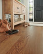 ArmorWood 7 1/2" Hill Forest Red Oak Hardwood