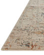 Axel AXE-02 Silver/Spice Area Rug