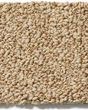 Bali Nylon Textured 48oz Carpet