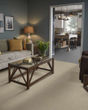 Basic Rules 58oz Textured Pet Friendly Carpet