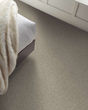 Basic Rules 58oz Textured Pet Friendly Carpet