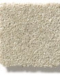 Basic Rules 58oz Textured Pet Friendly Carpet