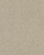 Basic Rules 58oz Textured Pet Friendly Carpet